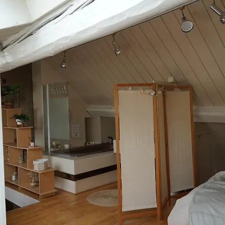Loft Duplex 33 Career Apartment Nancy