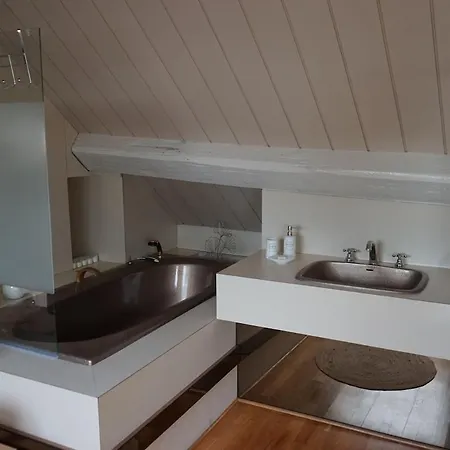 Loft Duplex 33 Career Apartment Nancy