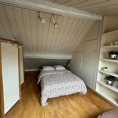 아파트 Loft Duplex 33 Career 낭시